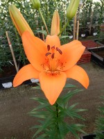 [5021 Tresor EVR No01.JPG]